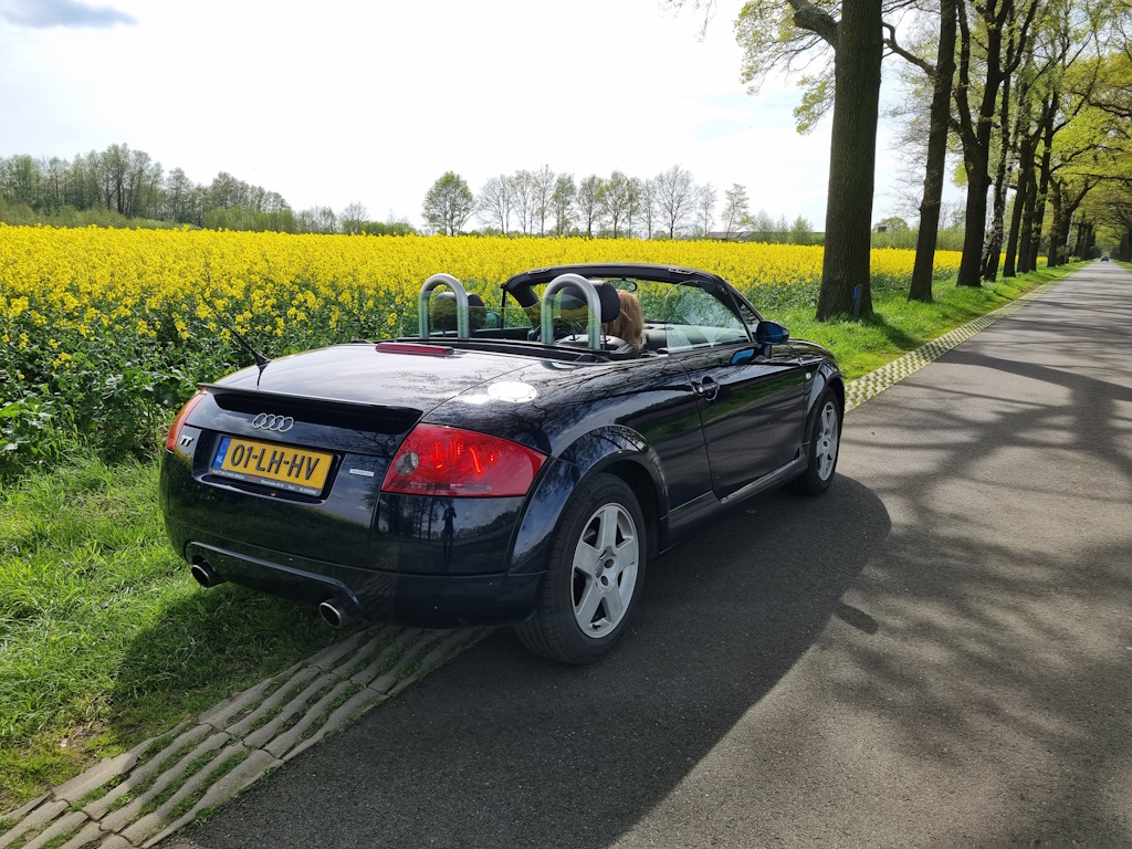 bloemen.jpg